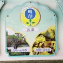 백사초병설 이미지