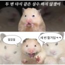 2025. 05. 여름 먹금하고 내 블로그나 들어와