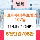 동수사랑동물병원 이미지