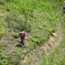 번개농장 이미지