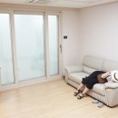 리안인테리어 이미지