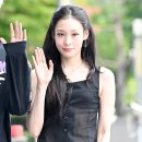 애니
