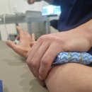 여름본마취통증의학과의원 이미지