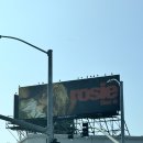 엘에이북창동순두부 이미지