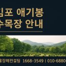 애기봉목장 이미지