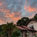 여울애견펜션 이미지