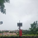 라바니