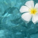(주)보배푸드 이미지