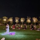요가정원 MBN