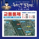 강아지와 나 | 순천 2026 동천야광축제 강아지와 함께 다녀온 후기