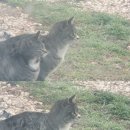 다사랑 고창점 이미지