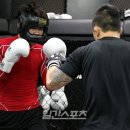 링 종합격투기 이미지