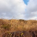 꼬지이야기 이미지