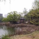 서울 보라매 공원 풍경 이미지