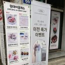 앙그미아 이미지