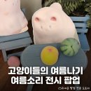 나기♡ 홍대 오브젝트 서교점 <여름소리> 팝업 정보 및 후기: 아이리브위드식스캣츠 전시, 굿즈, 이벤트 등