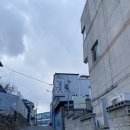 갈매기식당 이미지