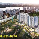 도곡농장2 이미지