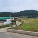 복룡농장 이미지