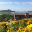 강화자연휴양림 이미지