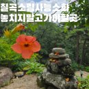 금오사 | 대구 근교 칠곡 소림사 능소화 비 온 뒤 풍경 개화 상황 주차정보 꽃은 져도 아름다웠던 산사 후기