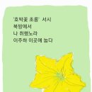 호박꽃초롱 네이버블로그