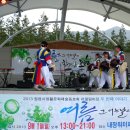 화려한 날의 오후 이미지