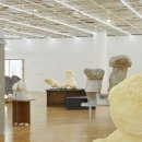 아트도그 이미지