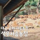 석우농장 | [6시내고향] 대구 군위 사슴농장 방영! 석우사슴농장 주차, 위치, 예약 정보 총정리