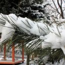 강서회관 이미지