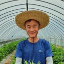 미인연구소 이미지
