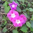 조익피부과의원 이미지