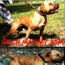 메이데이 이미지