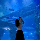 서초한일유앤아이주상복합 | 출산 후 첫 헤어케어::더 부띠끄 강남점 재은 실장님::허쉬 컷&amp;허쉬 펌 후기::내돈내산