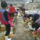 치목삼베영농조합법인 이미지