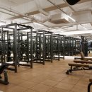 파모스짐 이미지