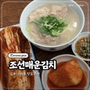 양촌역 | 김포 양촌역 맛집 조선매운김치 돼지곰탕 후기