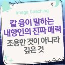 칼 융이 말하는 내향인의 진짜 매력: 조용한 것이 아니라 깊은 것 이미지