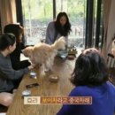 향기나는의원 이미지