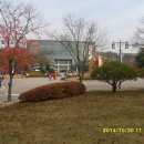 새마을금고연수원 Daum카페