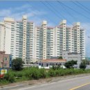 유림-1156 이미지