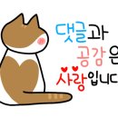 레엠 이미지