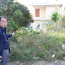 통정1리 이미지