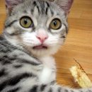 한성반점 이미지