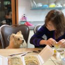 박현규만두가 이미지