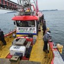 쭈스타 | 전곡항 스타피싱 레인보우호 쭈.갑 낚시 후기