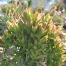 송정하우스 이미지