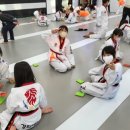 경희대 인하 태권도 이미지