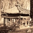 신라대학교박물관 | [ 조선 / 신라 ] 해인사 통일신라 추정, 4층누각 기록과 불국사 다보탑에 대하여 / 창덕궁 존덕정 절병...