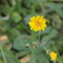 소천밧데리 이미지